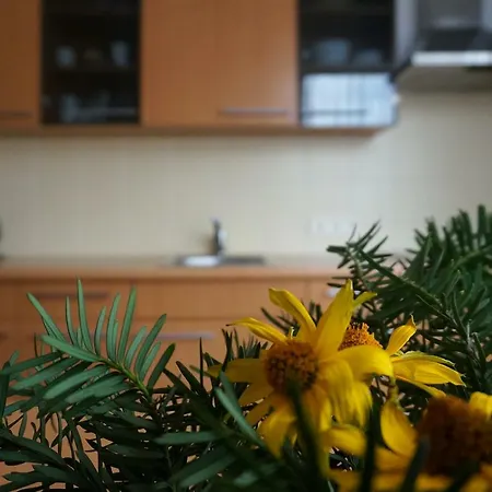 Appartement House Palanga